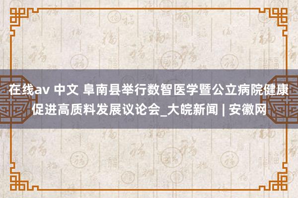 在线av 中文 阜南县举行数智医学暨公立病院健康促进高质料发展议论会_大皖新闻 | 安徽网