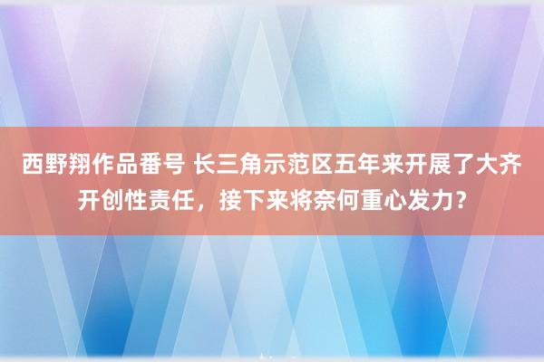 西野翔作品番号 长三角示范区五年来开展了大齐开创性责任，接下来将奈何重心发力？