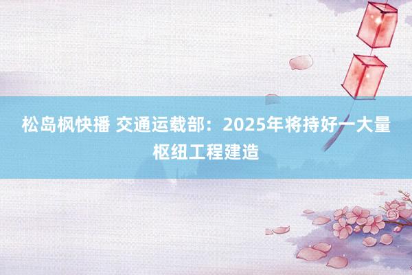 松岛枫快播 交通运载部：2025年将持好一大量枢纽工程建造