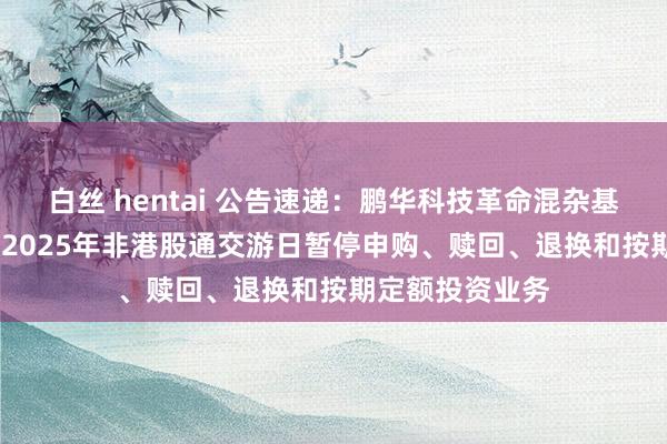 白丝 hentai 公告速递：鹏华科技革命混杂基金2024年末及2025年非港股通交游日暂停申购、赎回、退换和按期定额投资业务