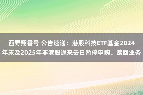 西野翔番号 公告速递：港股科技ETF基金2024年末及2025年非港股通来去日暂停申购、赎回业务