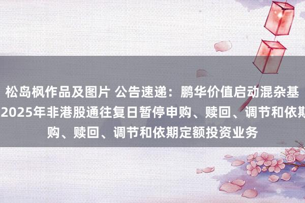 松岛枫作品及图片 公告速递：鹏华价值启动混杂基金2024年末及2025年非港股通往复日暂停申购、赎回、调节和依期定额投资业务