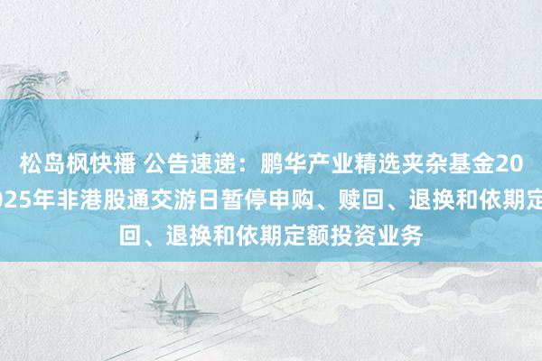 松岛枫快播 公告速递：鹏华产业精选夹杂基金2024年末及2025年非港股通交游日暂停申购、赎回、退换和依期定额投资业务