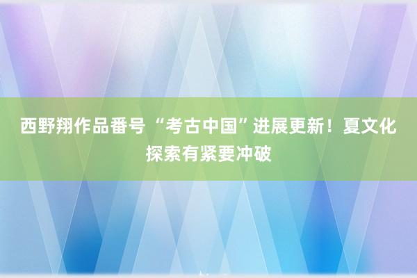 西野翔作品番号 “考古中国”进展更新！夏文化探索有紧要冲破