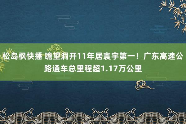 松岛枫快播 瞻望洞开11年居寰宇第一！广东高速公路通车总里程超1.17万公里