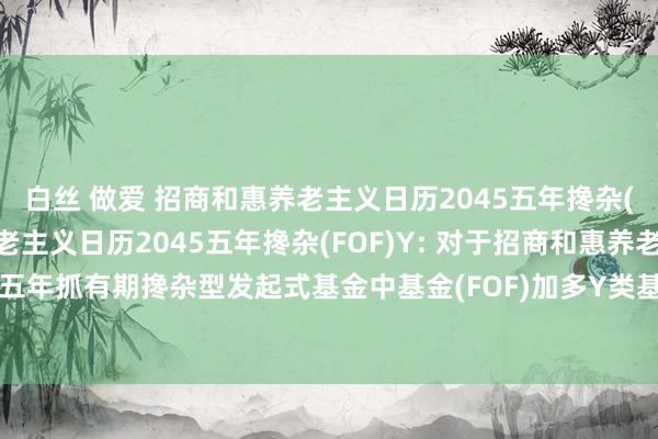 白丝 做爱 招商和惠养老主义日历2045五年搀杂(FOF)A，招商和惠养老主义日历2045五年搀杂(FOF)Y: 对于招商和惠养老主义日历2045五年抓有期搀杂型发起式基金中基金(FOF)加多Y类基金份额并修改基金合同等法律文献的公告