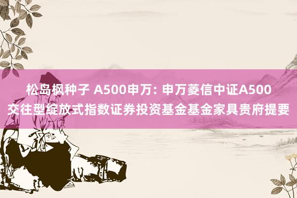 松岛枫种子 A500申万: 申万菱信中证A500交往型绽放式指数证券投资基金基金家具贵府提要