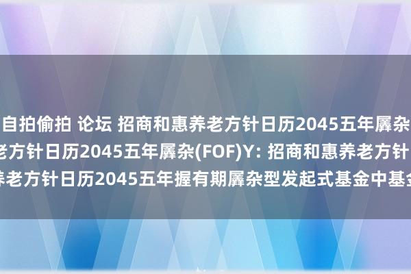 自拍偷拍 论坛 招商和惠养老方针日历2045五年羼杂(FOF)A，招商和惠养老方针日历2045五年羼杂(FOF)Y: 招商和惠养老方针日历2045五年握有期羼杂型发起式基金中基金(FOF)风险揭示书