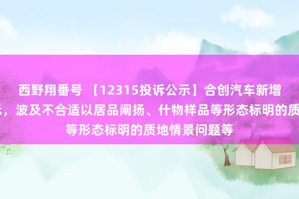 西野翔番号 【12315投诉公示】合创汽车新增14件投诉公示，波及不合适以居品阐扬、什物样品等形态标明的质地情景问题等