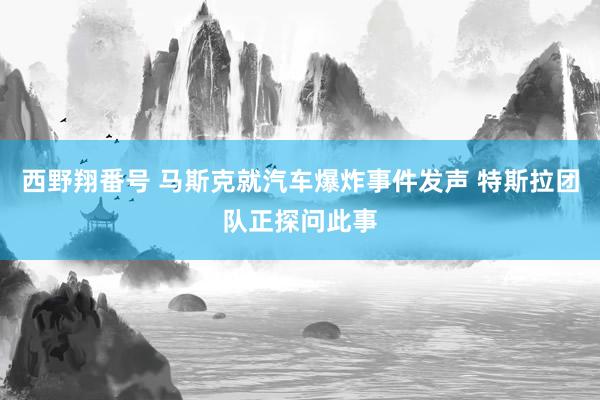 西野翔番号 马斯克就汽车爆炸事件发声 特斯拉团队正探问此事