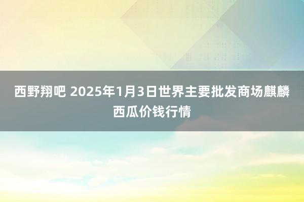 西野翔吧 2025年1月3日世界主要批发商场麒麟西瓜价钱行情