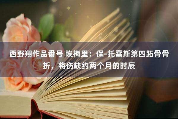 西野翔作品番号 埃梅里：保-托雷斯第四跖骨骨折，将伤缺约两个月的时辰