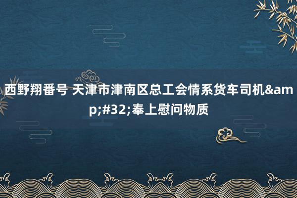 西野翔番号 天津市津南区总工会情系货车司机&#32;奉上慰问物质