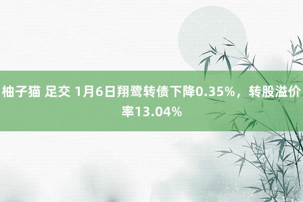 柚子猫 足交 1月6日翔鹭转债下降0.35%，转股溢价率13.04%