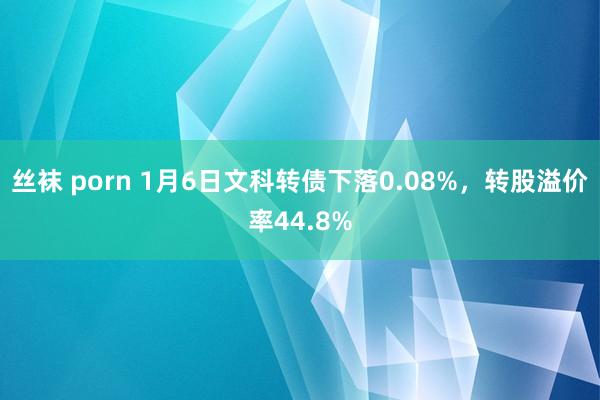 丝袜 porn 1月6日文科转债下落0.08%，转股溢价率44.8%