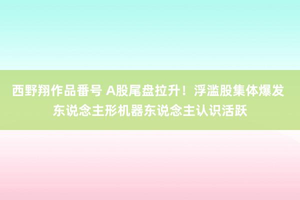 西野翔作品番号 A股尾盘拉升！浮滥股集体爆发 东说念主形机器东说念主认识活跃