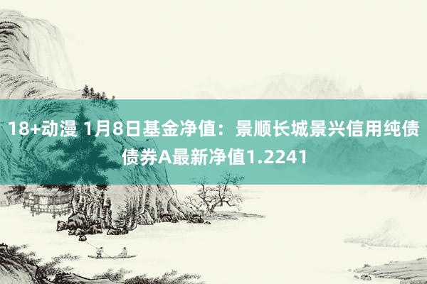 18+动漫 1月8日基金净值：景顺长城景兴信用纯债债券A最新净值1.2241