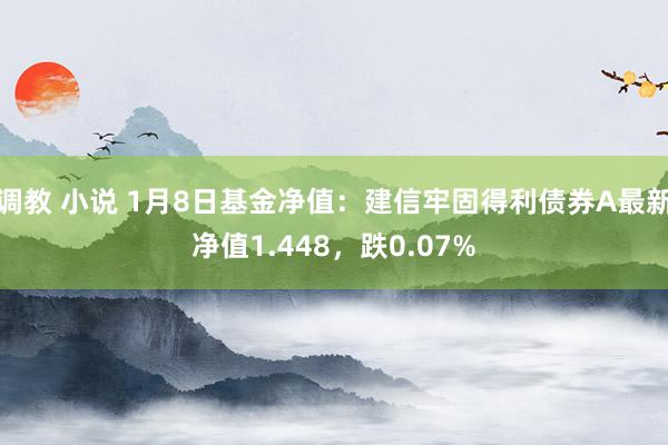 调教 小说 1月8日基金净值：建信牢固得利债券A最新净值1.448，跌0.07%