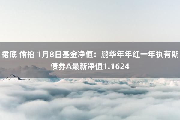 裙底 偷拍 1月8日基金净值：鹏华年年红一年执有期债券A最新净值1.1624