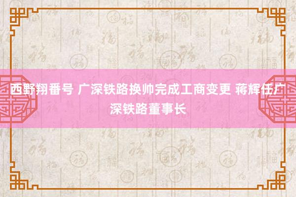 西野翔番号 广深铁路换帅完成工商变更 蒋辉任广深铁路董事长