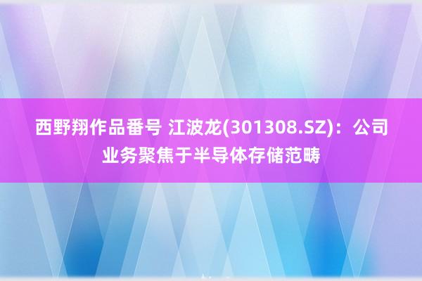 西野翔作品番号 江波龙(301308.SZ)：公司业务聚焦于半导体存储范畴