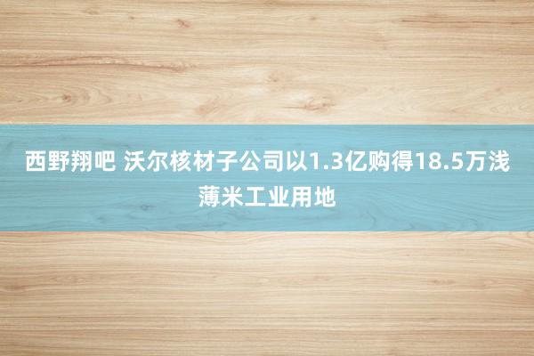 西野翔吧 沃尔核材子公司以1.3亿购得18.5万浅薄米工业用地