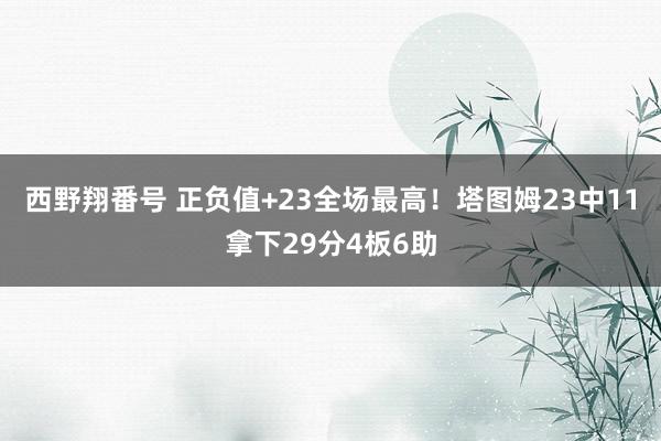 西野翔番号 正负值+23全场最高！塔图姆23中11拿下29分4板6助