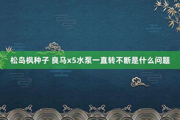 松岛枫种子 良马x5水泵一直转不断是什么问题