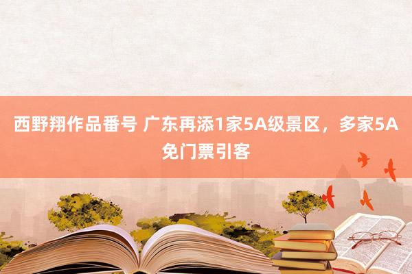 西野翔作品番号 广东再添1家5A级景区，多家5A免门票引客