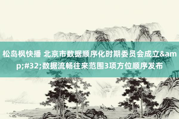 松岛枫快播 北京市数据顺序化时期委员会成立&#32;数据流畅往来范围3项方位顺序发布