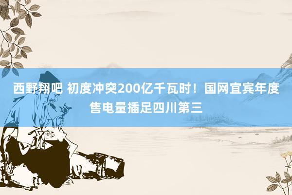 西野翔吧 初度冲突200亿千瓦时！国网宜宾年度售电量插足四川第三