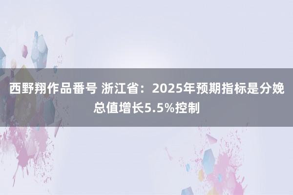 西野翔作品番号 浙江省：2025年预期指标是分娩总值增长5.5%控制