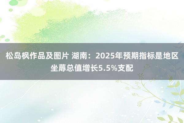 松岛枫作品及图片 湖南：2025年预期指标是地区坐蓐总值增长5.5%支配