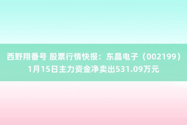 西野翔番号 股票行情快报：东晶电子（002199）1月15日主力资金净卖出531.09万元