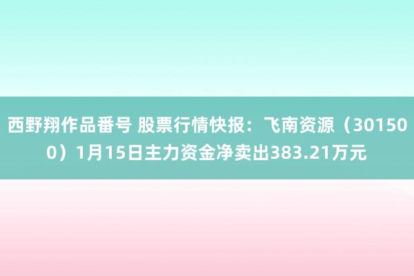 西野翔作品番号 股票行情快报：飞南资源（301500）1月15日主力资金净卖出383.21万元