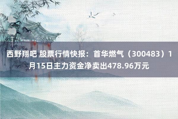 西野翔吧 股票行情快报：首华燃气（300483）1月15日主力资金净卖出478.96万元