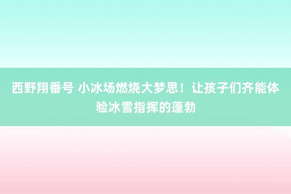 西野翔番号 小冰场燃烧大梦思！让孩子们齐能体验冰雪指挥的蓬勃