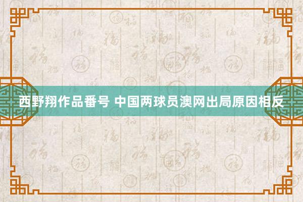 西野翔作品番号 中国两球员澳网出局原因相反