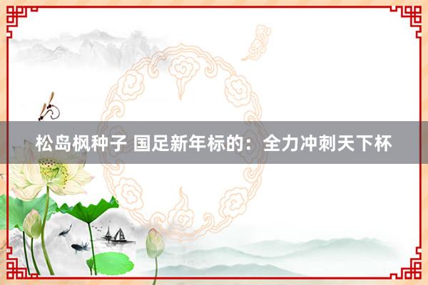 松岛枫种子 国足新年标的：全力冲刺天下杯