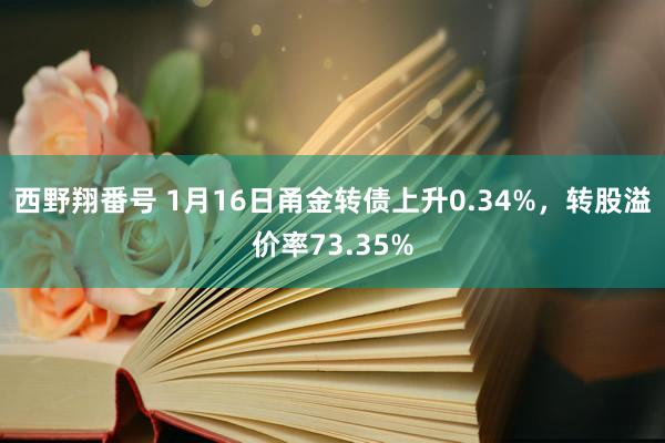 西野翔番号 1月16日甬金转债上升0.34%，转股溢价率73.35%