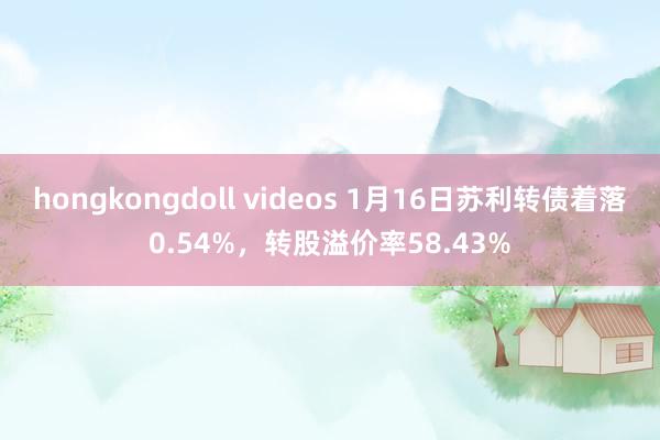 hongkongdoll videos 1月16日苏利转债着落0.54%，转股溢价率58.43%