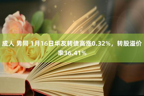 成人 男同 1月16日华友转债高涨0.32%，转股溢价率36.41%